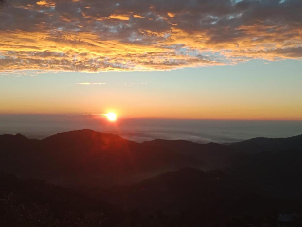 The Summer House Kasauli I Party & Music I Sky Bonfire I Managed By Exotic Stays Exteriör bild